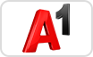 A1 Payments