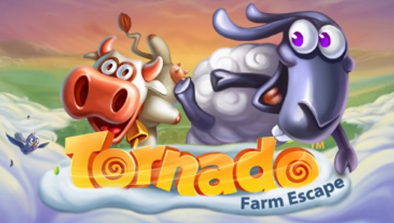 No Bonus Casino لقطة الشاشة 1