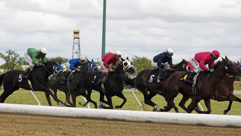 888 Sport لقطة الشاشة 1